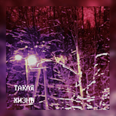 ТАКАЯ ЖИЗНЬ