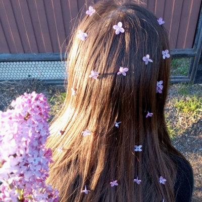 панацея